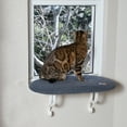 thumbnail image 1 of K&H Pet Products Window Kitty Sill Unheated Indoor Perch Gray 14 X 24 Inches, 1 of 9