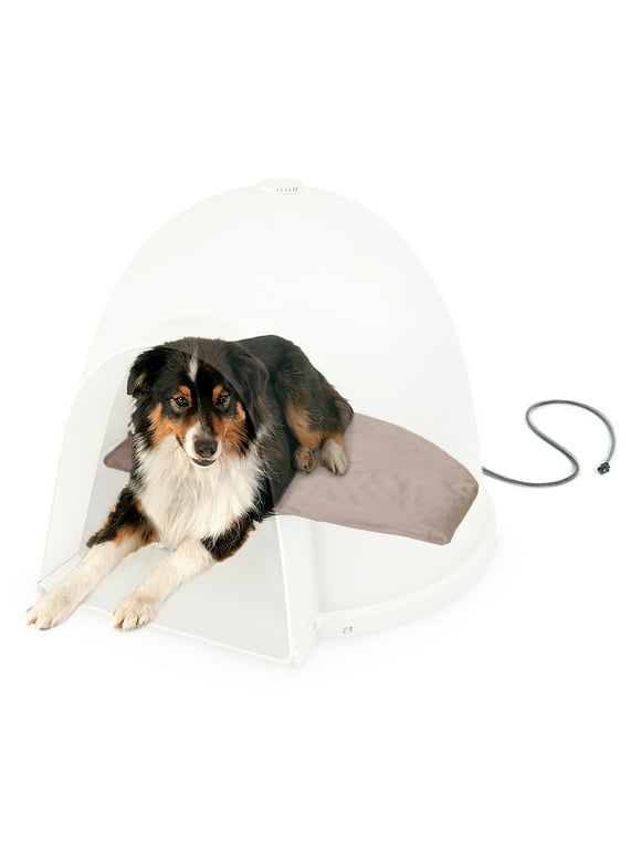 Igloo Dog Houses in Dog Houses