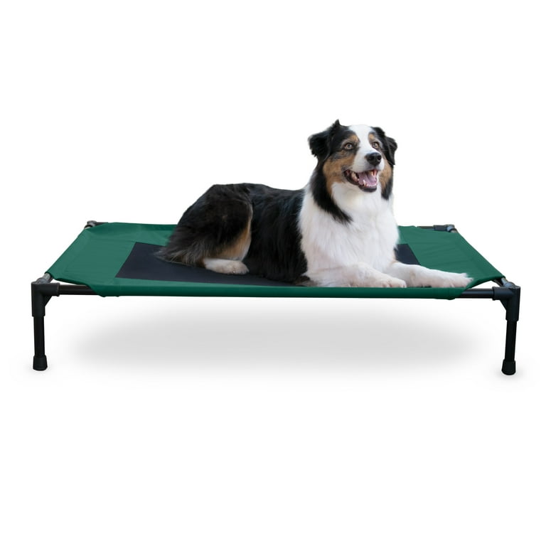 Acrimet Cooling Elevated Pet Dog Bed – 66x51x11cm, Washable Mesh Fabric, Stainless Steel Frame, For Small Dogs Indoor & Outdoor