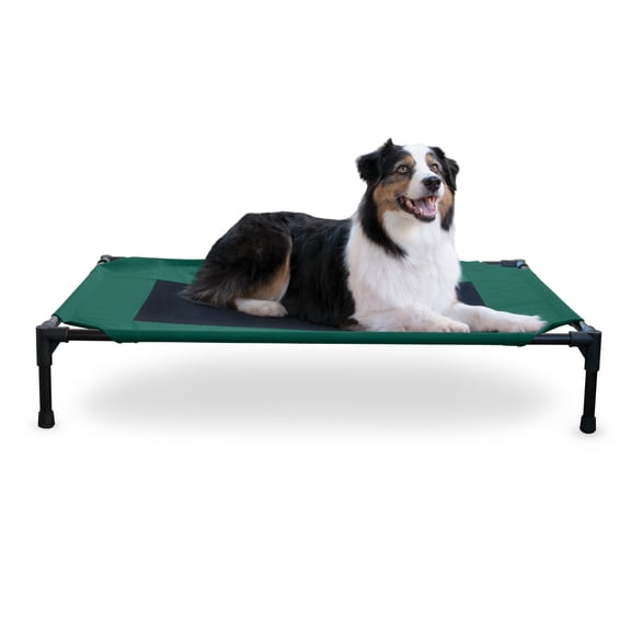 K&H Pet Products Original Pet Cot Elevated Dog Bed Green/Black Mesh Large 42 X 30 X 7 Inches