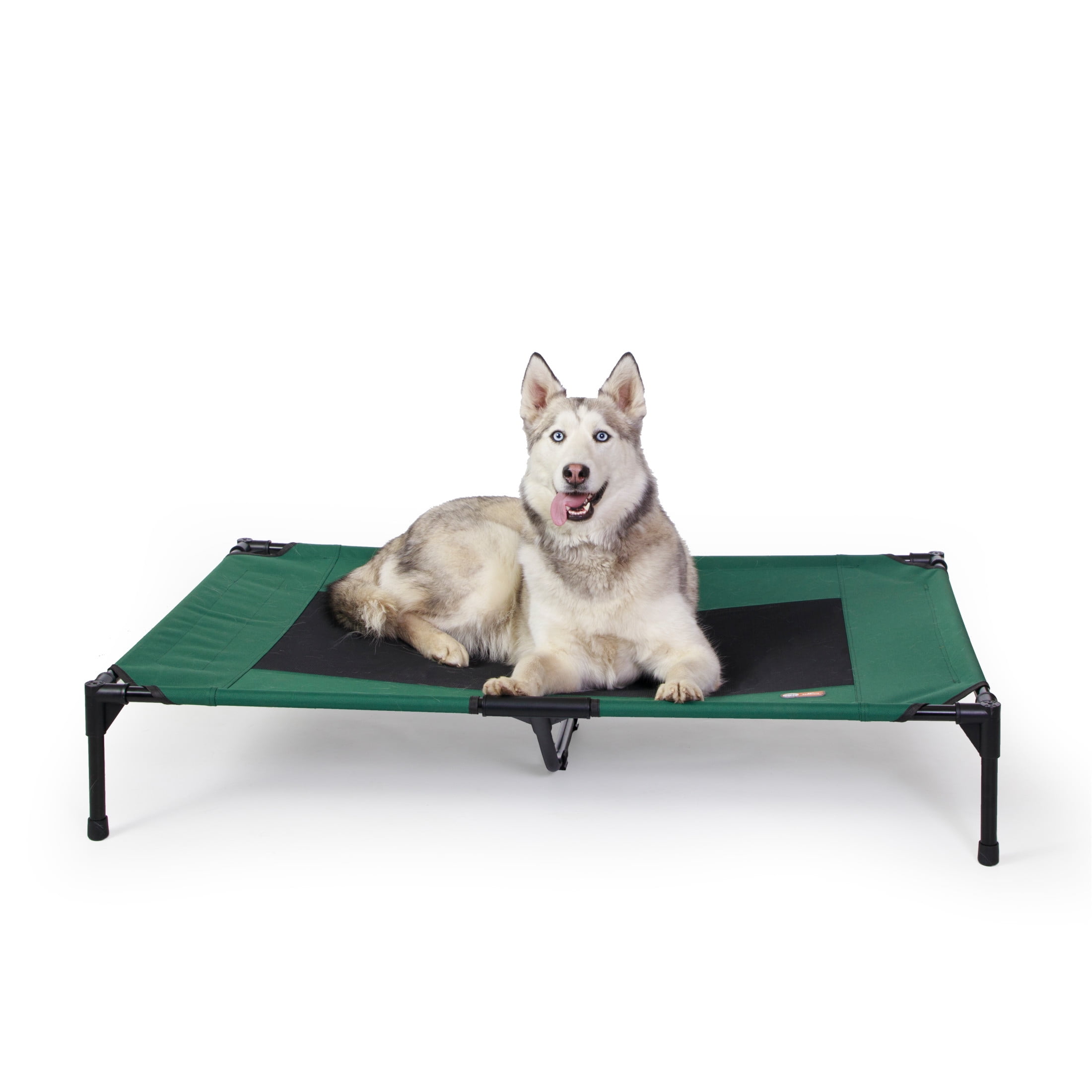 Extra Large Green and Black Mesh Elevated Outdoor Pet Cot
