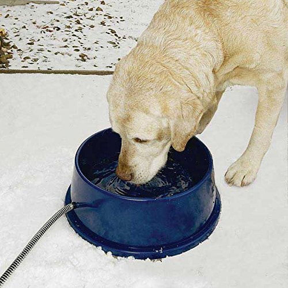 Outdoor water sale dish for dogs
