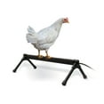 thumbnail image 1 of K&H Pet Products Thermo-Chicken Heated Perch Black Large 36 Inches, 1 of 8