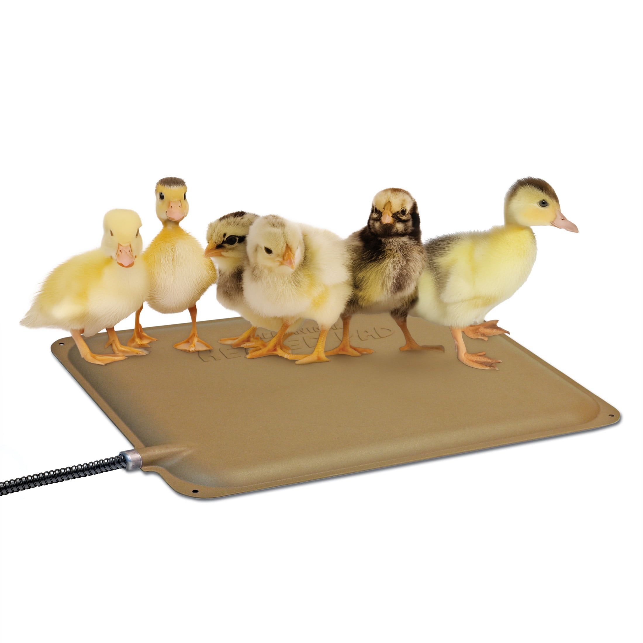 K&H Pet Products Thermo-Peep Heated Indoor and Outdoor Chicken and Chick Pad Tan Petite 9 X 12 Inches