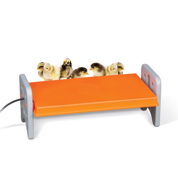 K&H Pet Products Thermo-Poultry Brooder Gray/Orange Large 11.5 X 20 X 8 Inches