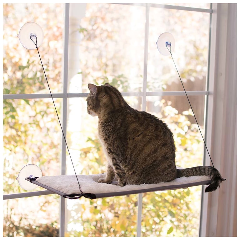 2-in-1 Cat Window Perch Hammock - Sturdy Foldable Bed With Metal Frame Holds 60 Lbs