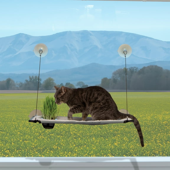 K&H Pet Products Window Lounger Cat Perch with Cat Grass Grow Station Single Level Natural 23 X 12 Inches