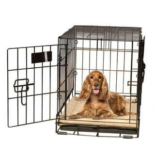 Kong bed for crate online