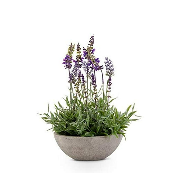 K&K Interiors, 17305A 13 Inch Purple Lavender in Gray Bowl