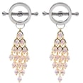 thumbnail image 1 of K-KED 1 Pair Nipple Ring Shield Non-Piercing Body Fake Piercing Delicate Jewelry Women Sexy-B-1, 1 of 6