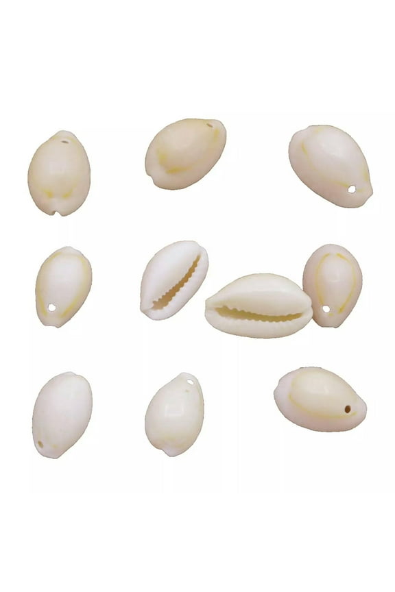 10PCS 15mm-22mm Natural Beige Sea Shell Conch Pendant Earring Delicate Jewelry Making DIY