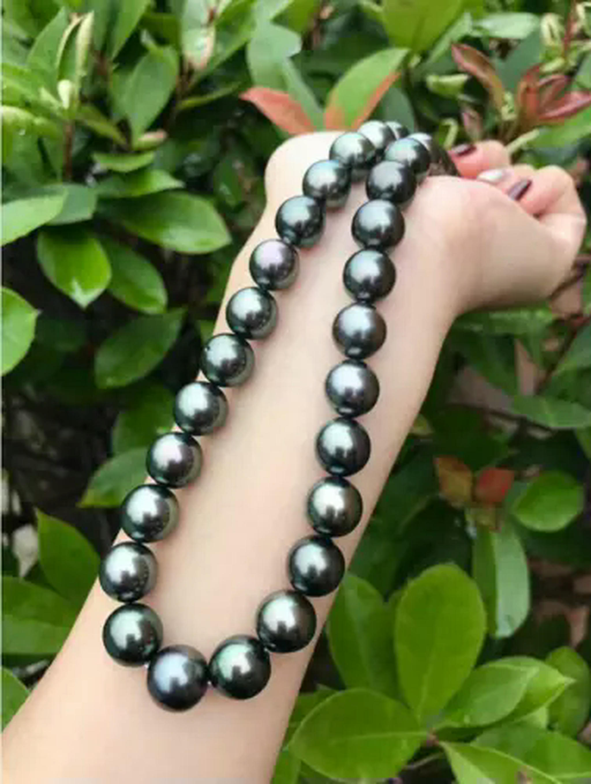 KKED 18inch AAA Luster 910mm Real Natural Tahitian Black Pearl — free download