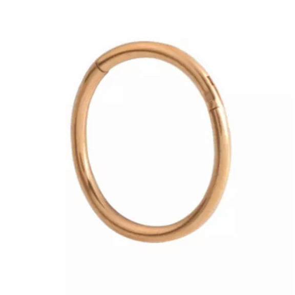 K-KED 4PCS Hinged Segment Nose Ring Stud Earring Ear Tragus Helix Lip Hoop Piercing !-rose gold-1.2x8mm-4PCS