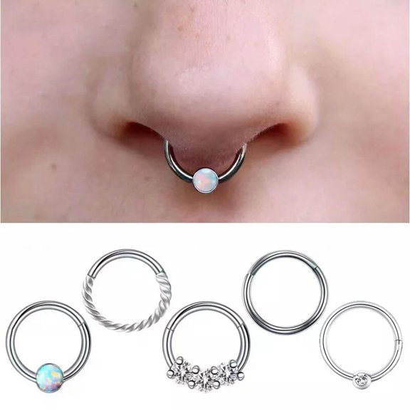 K-KED 5Pcs 16G Nose Rings Surgical Steel Earrings CZ Opal Clicker Hinged Piercing Ring-default