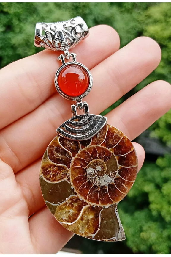5pcs Red Agate AMMONITE Pendant Chakra Reiki Healing Amulet Energy