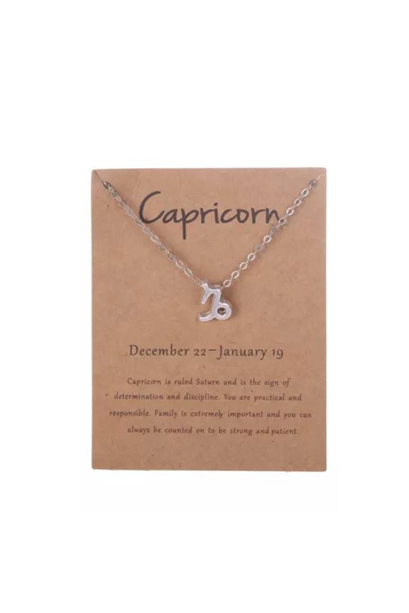 925 Sterling Silver 12 Zodiac Constellations Horoscope Pendant Necklace Chain-Capricorn Silver