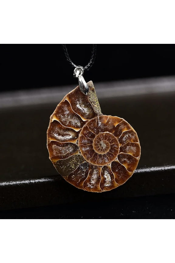 AAA Natural Conch Fossil Gemstone Reiki Mineral Quartz Crystal Pendant Necklace-default