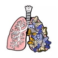 thumbnail image 1 of K-KED Flower Organ Brooch Beautifully designed heart organ series brooch Enamel pi /-5, 1 of 8