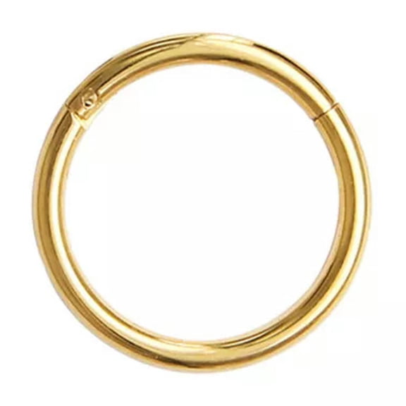 K-KED Surgical Steel Hinge Segment Nose Ring Septum Clicker Ear Helix Tragus Ring Hoop-Gold-1.2x14mm