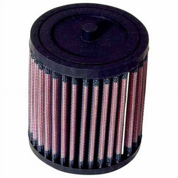 K&N Engine Air Filter: High Performance, Premium, Powersport Air Filter: 2001-2019 HONDA (TRX250X, TRX250TE Recon ES, TRX250TM Recon, TRX250EX) HA-2501