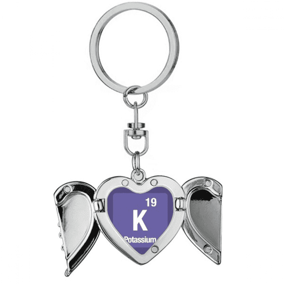 K Potassium Checal Element chem Heart Angel Wing Key Chain Holder