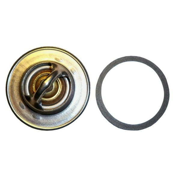 K262879 Thermostat & Gasket Fits David Brown