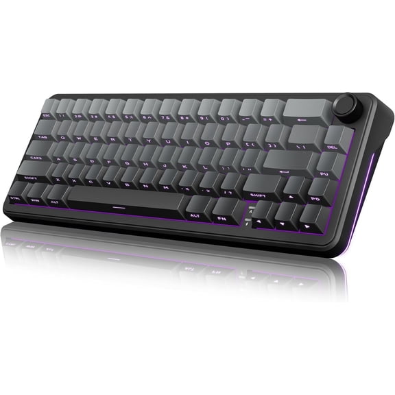 K65 Mechanical Gaming Keyboard, Trip-Modes Connection, Gasket Custom Hot-Swap Keyboard, RGB Backlit, Pre-lubed Linear Switches, Side Printed PBT Keycaps, Gradient Gray