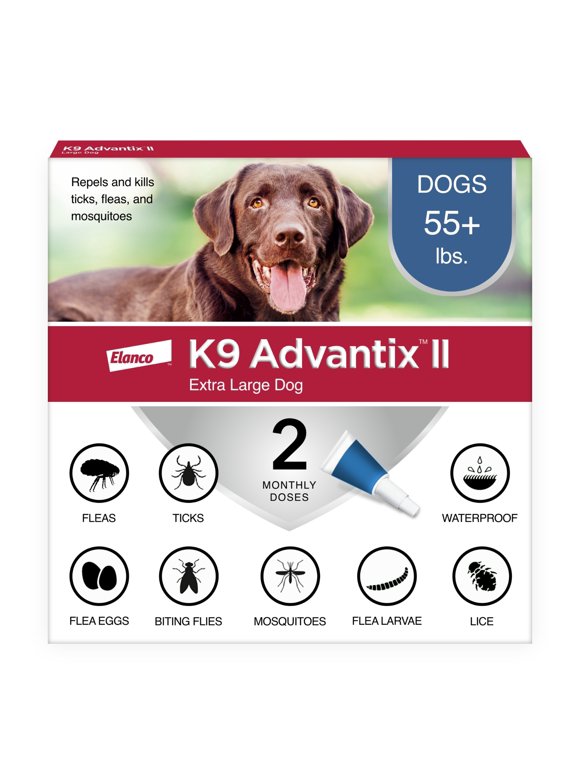 Dog Flea and Tick in Dogs