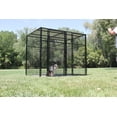 thumbnail image 1 of K9 Kennel Store 7' Tall 6’ X 6’ Welded Wire Complete Dog Kennel System, 1 of 1