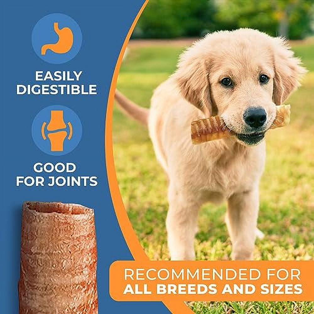 K9warehouse® 6 Inch Beef Trachea Dog Chews 12 Count Trachea Flats for Dogs Packed in USA