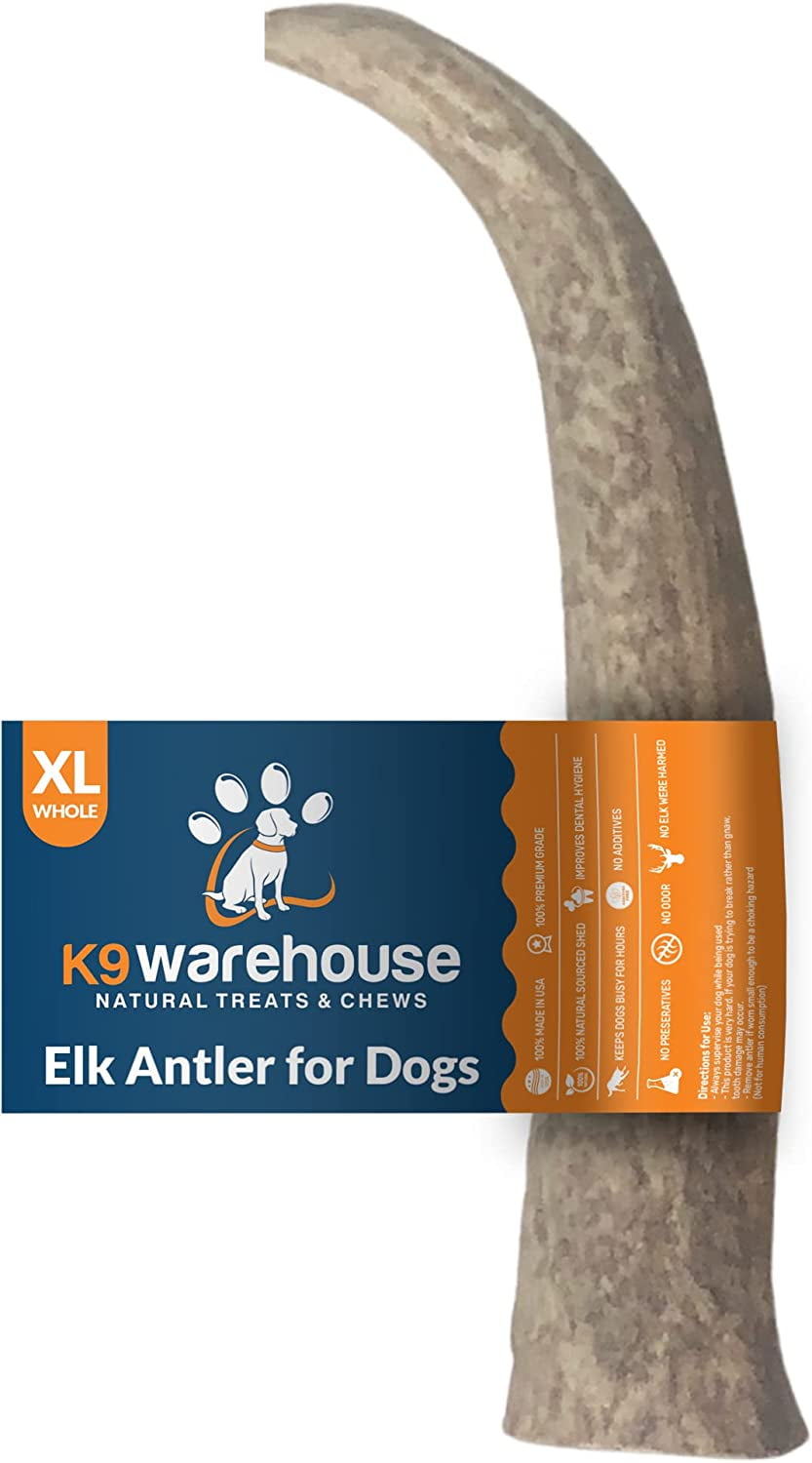 Are Elk Antlers Safe For Dogs Teeth