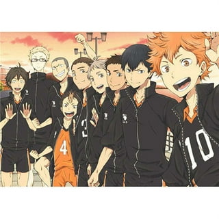 Group Of Boys In An Anime Looking At The Sun Background, Haikyuu
