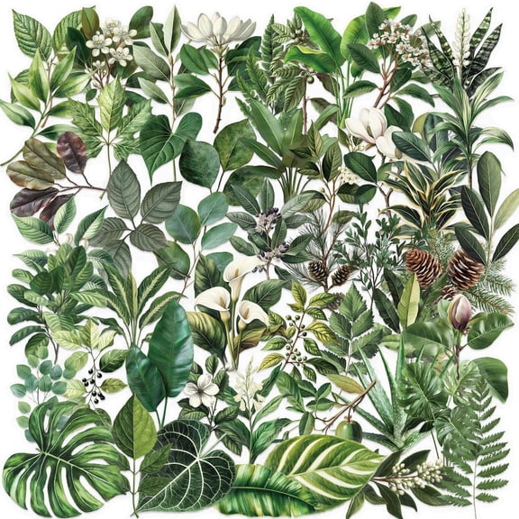 KAISA 50Pcs Green Plant Leaf Stickers,Waterproof Watercolor Botanical Stickers for Journal Scrapbooking,Aesthetic Foliage Decals for Water Bottles Laptops,Plant Lover Gifts for Craft Enthusiasts