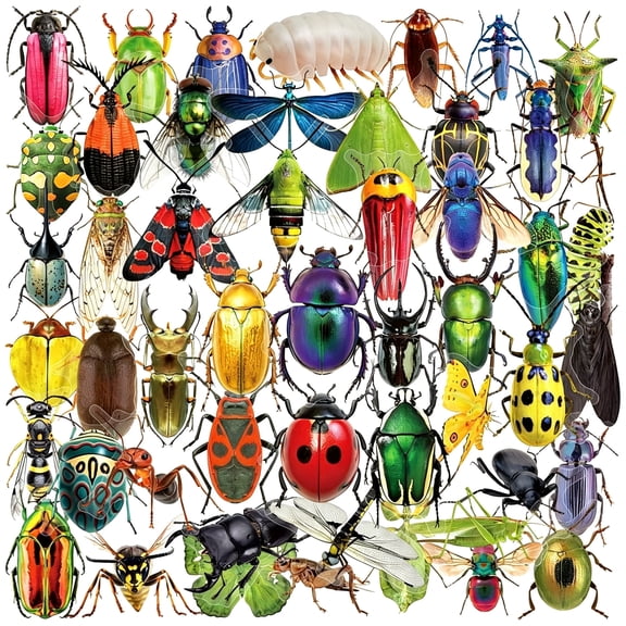 KAISA 50Pcs Insect Stickers Pet Transparent Stickers Delious Food Decals Waterproof Decorative Decals for Scrapbook Diy Crafts Album Bullet Journal Water Bottles Laptops (Insect)