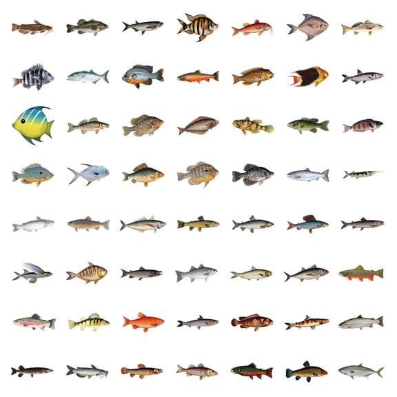 KAISA 57Pcs Deep Sea Fish Stickers Waterproof Vinyl,Ocean Deepwater Fish Decals for Water Bottle Laptop Skateboard Luggage Phone Case,Cool Marine Creature Stickers Pack for Kids Adults