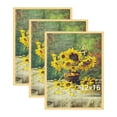 thumbnail image 1 of KAIWIN 3 Pack Poster Frames 12x16 Plastic Picture Frame for Gallery wall, Gold, 1 of 6
