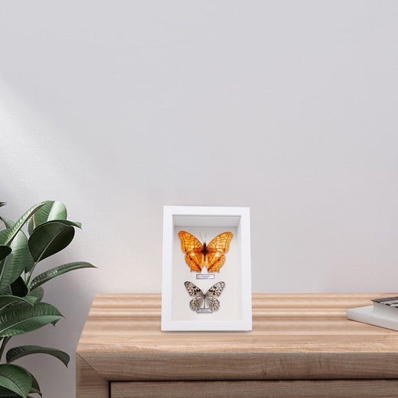 KAJNBN 1Pack White Wood Shadow Box for Home Decor and Specimen Board 16.6X11.6X6.5CM