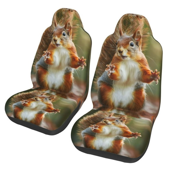KAKALAD Squirrel Funny Animal Meets 02 Car Accessories Seat Covers Set Vehicle Seat Covers Universal Front Seats Protector 2 Pcs