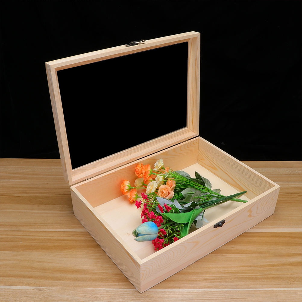 KAKOWELY 1Pack Elegant Translucent Window Everlasting Flower present ...