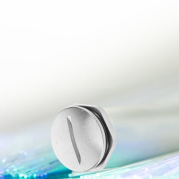 KAKOWELY 2-Pack Metal Seal Plugs for Projects, Round Sealing Stoppers