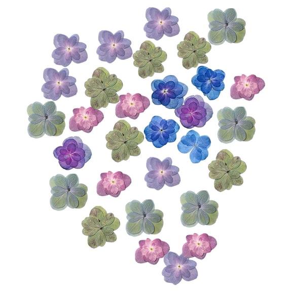 KAKOWELY Hydrangea Petals Assorted Color Dried Flowers for Resin Decoration