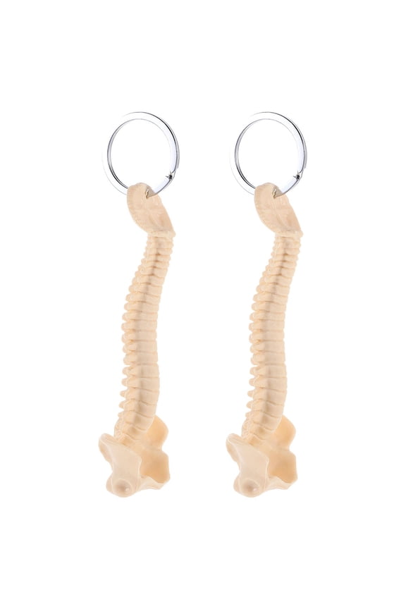 Mini Spine Keychain For Medical Demonstration In 1.97X1.77X0.98in 2Pcs