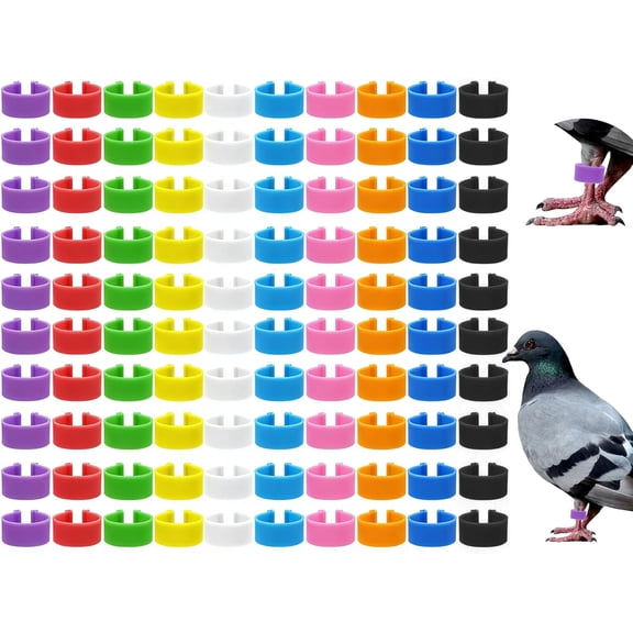 KALAKALA 200 Pcs 16mm Chicken Leg Rings Colorful Numbered Chicken Identification Leg Bands Clip on Poultry Foot Rings Chicken Ankle Tags for Chicks Duck Bantam Guinea Pigeons Gamefowl