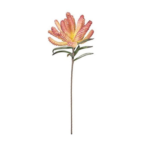 KALALOU CLX3123 Botanica #3123