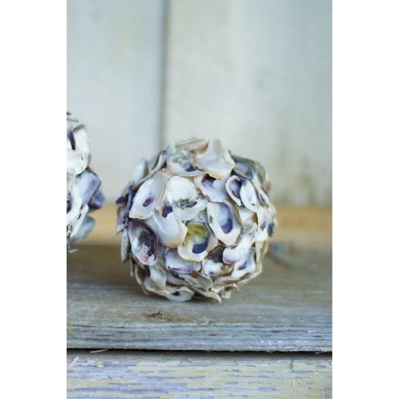 Kalalou Oyster Shell Round Candle Holder (Min 4)
