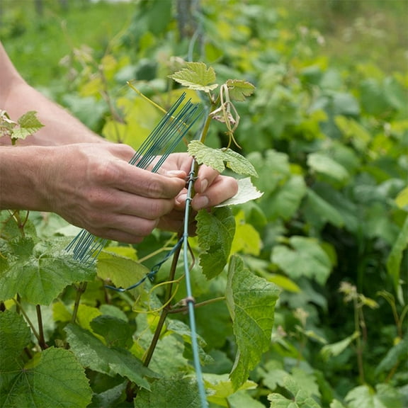 KALLORY 1000pcs Twisted Ties Wire Ties Reusable Twist Bread Ties Plant Binding Ties for Garden