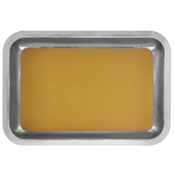 KALLORY Stainless Steel Multi-Function Dissection Tray for Laboratory Use 1 Piece