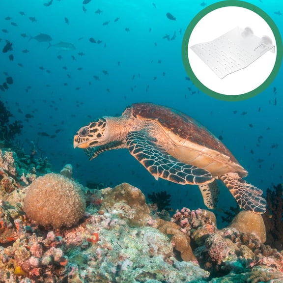KALLORY 1Pc Transparent Turtle Basking Platform with Ladder for Aquarium and Turtle Tank