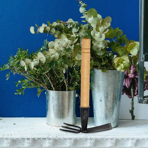 KALLORY 1Pcs Carbon Steel Hoe and Rake for Weeding Loosening Soil Home Gardeners