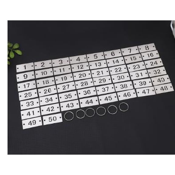 KALLORY 20pcs Metal Number Label: 1-20 Stainless Steel Hanging Tags with Keychains Numbered ID Identification Tags for Locker Team Organization